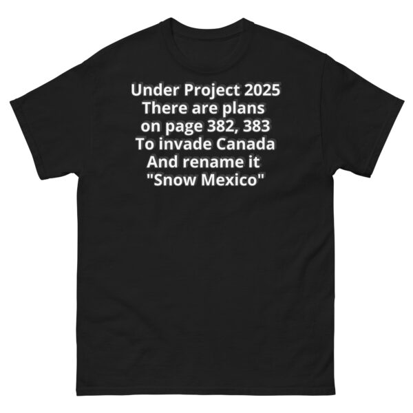 Project 2025 Snow Mexico - Image 2