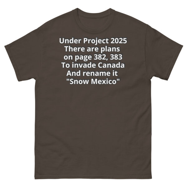 Project 2025 Snow Mexico - Image 6