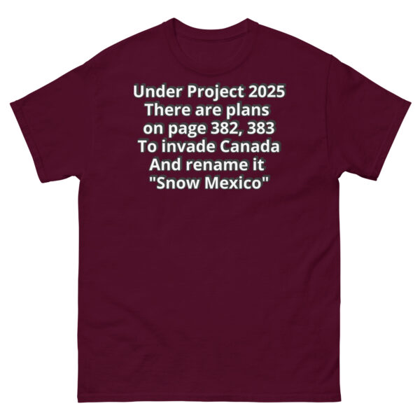 Project 2025 Snow Mexico