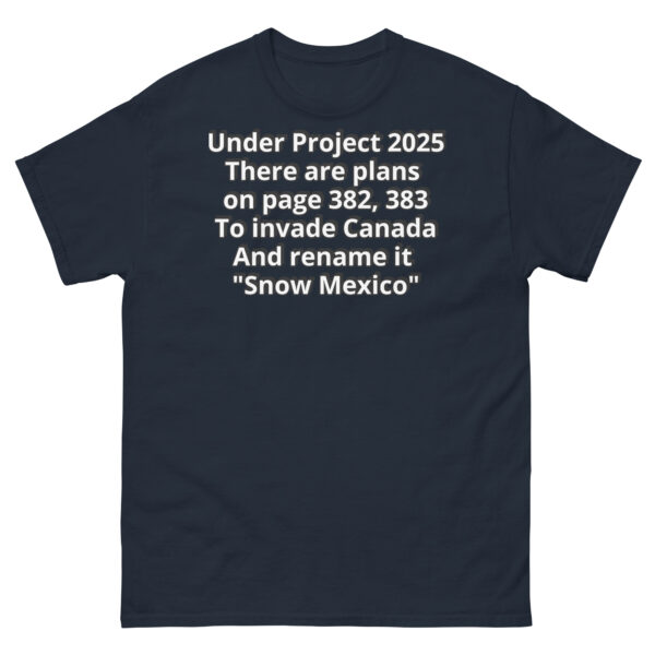 Project 2025 Snow Mexico - Image 3