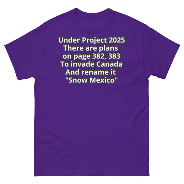 Project 2025 Snow Mexico - Image 4