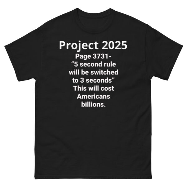 Project 2025 3 Seconds - Image 3