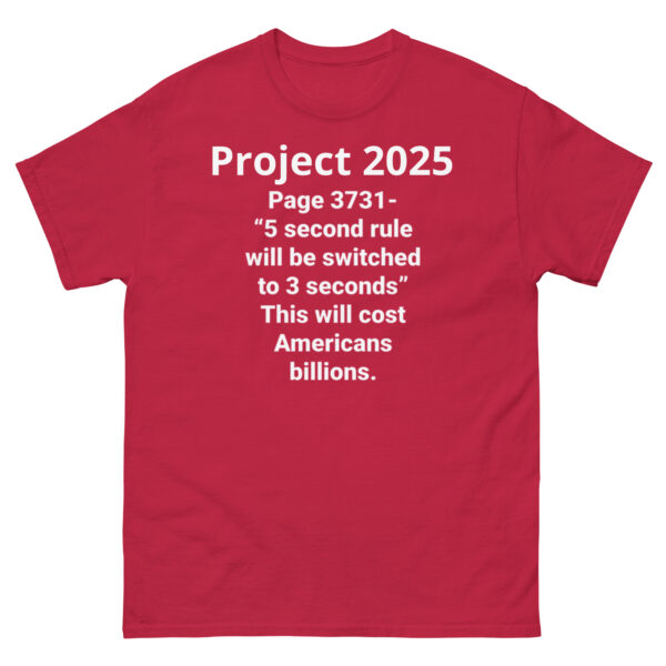 Project 2025 3 Seconds - Image 7