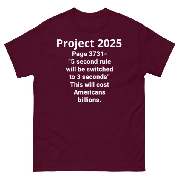 Project 2025 3 Seconds - Image 2