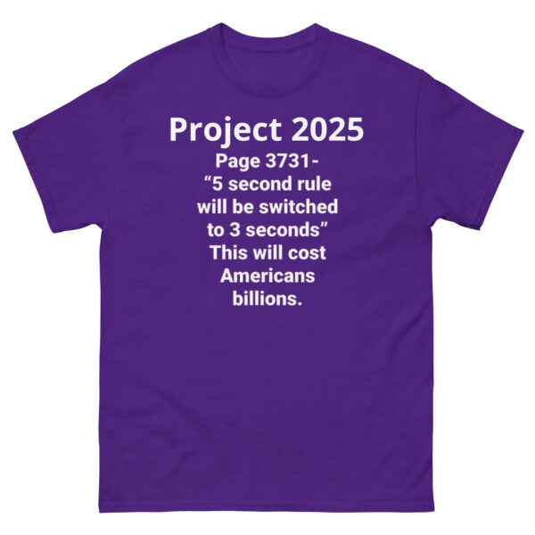 Project 2025 3 Seconds - Image 5